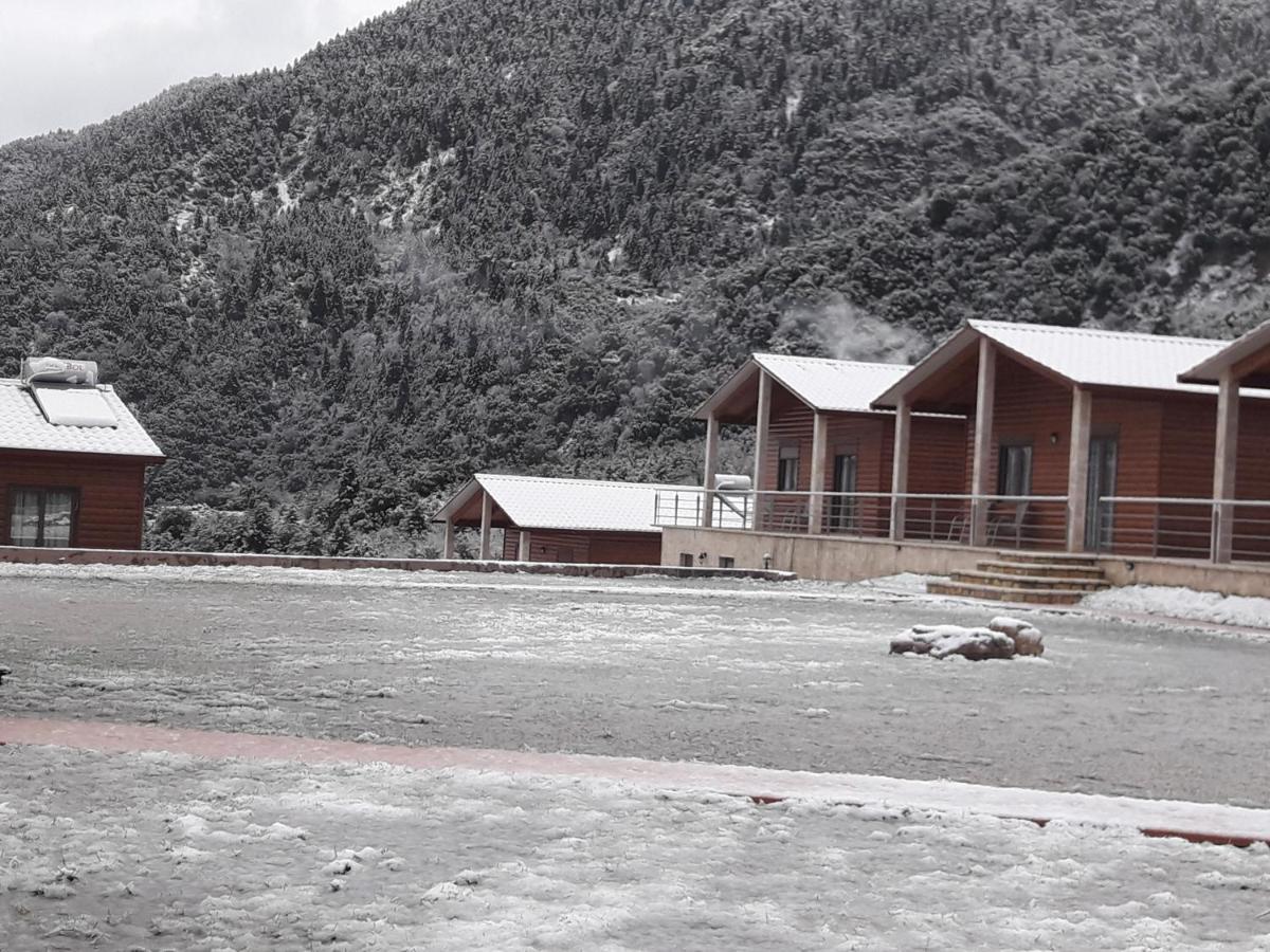 Kedros Chalet Agios Dimitrios  ภายนอก รูปภาพ