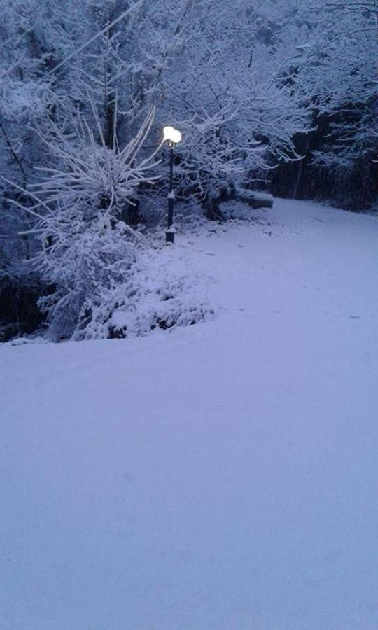 Kedros Chalet Agios Dimitrios  ภายนอก รูปภาพ